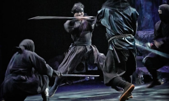 Meet Ninja in Edo Wonderland Day Trip